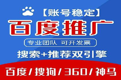 知名SEM公司案例分析：优化策略与成果